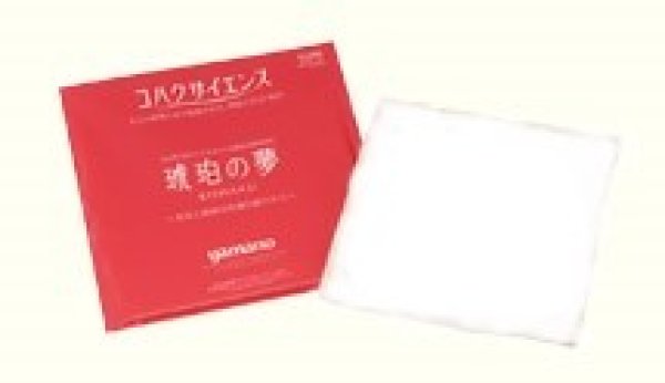 画像1: 琥珀の夢レイアースシート (1)