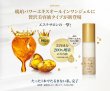 画像2: 琥珀パワーエキス オールインワン 美容液 EX 50g  (2)