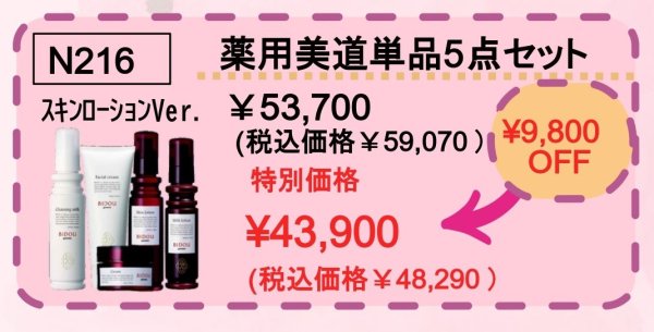 画像1: 薬用美道単品５点セット（スキンローションVer）期間限定価格〜5/18迄 (1)